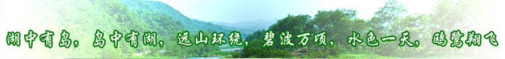 图片动画