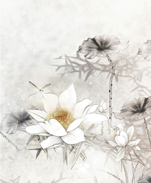 图片动画